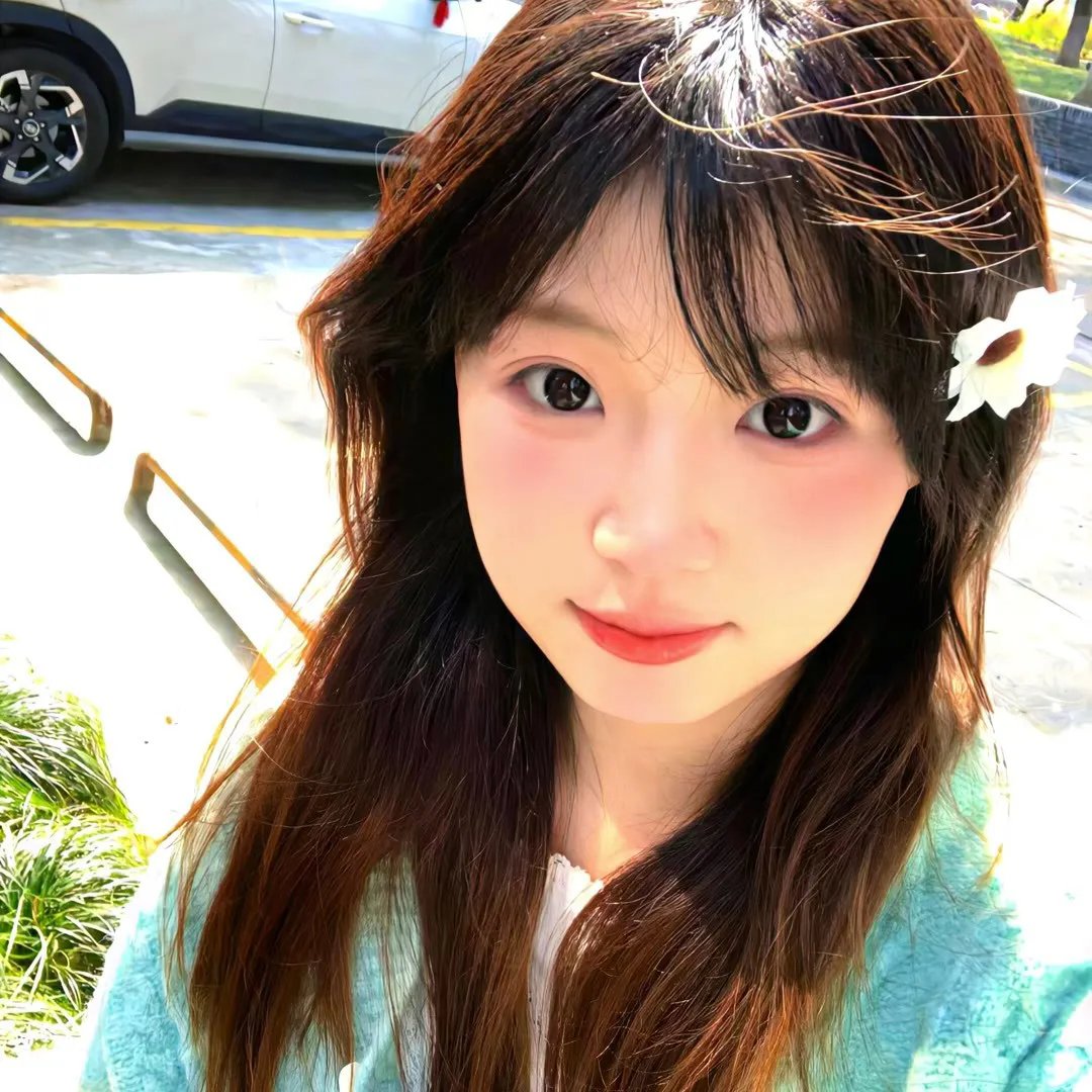 柳川堀割物语